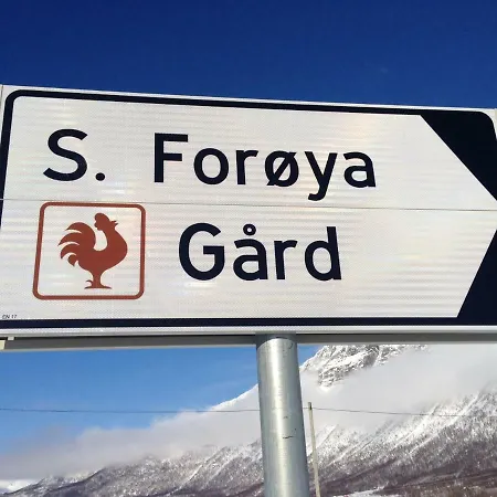 Sondre Foroya Gard * Tromsø